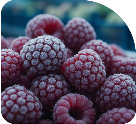 Congelado de alimentos